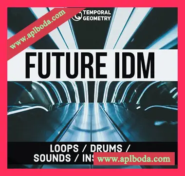 [90年代IDM智能舞曲]Temporal Geometry Future IDM [WAV]（411Mb）
