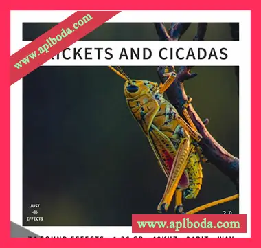 [蟋蟀蝉音效FX采样]Just Sound Effects Crickets and Cicadas [WAV]（1.19Gb）