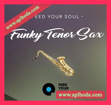 [Funk萨克斯采样]Feed Your Soul Music Feed Your Soul Funky Tenor Sax [WAV]（290Mb）