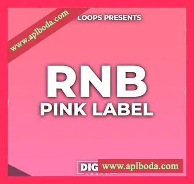 [嘻哈陷阱RnB采样]HOOKSHOW RnB Pink Label [WAV]（85Mb）