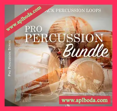 [宿主扩展插件]Steinberg Pro Percussion Bundle（29Gb）