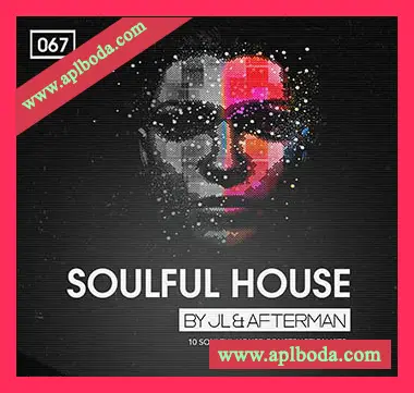 [浩室素材]Bingoshakerz Soulful House by JL and Afterman [WAV, MiDi, REX]（416Mb）