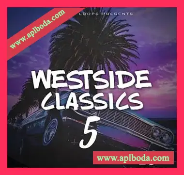 [嘻哈RnB采样]Big Citi Loops Westside Classics Vol.5 [WAV]（50Mb）