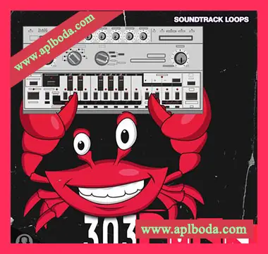[电子乐采样]Soundtrack Loops 303 Punk [WAV]（185Mb）