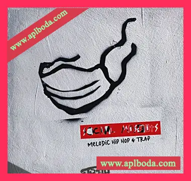 [嘻哈陷阱采样]DJ 1Truth Social Misfits Melodic Hip Hop & Trap [WAV]（54Mb）