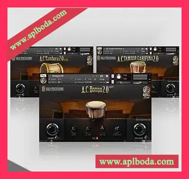 [拉丁打击乐音源]Angel Cano Gold Percussions [KONTAKT, MiDi]（62Mb）