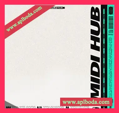 [RnB素材]2Deep Beats Global RnB [WAV, MiDi]（350Mb）