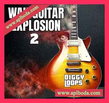 [灵魂吉他采样]Big Citi Loops Wah Guitar Explosion 2 [WAV]（15Mb）