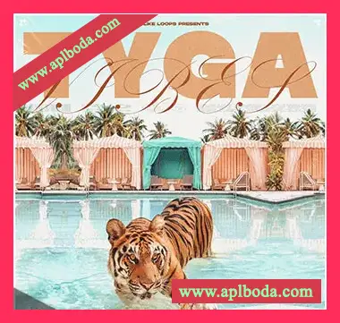 [Trap陷阱素材]Godlike Loops Tyga Vibes 2 – Tyga Inspired Beats [WAV, MiDi]（150Mb）