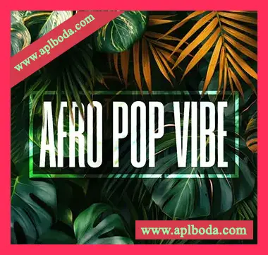 [流行陷阱非洲节奏采样]Digi Exclusive Afro Pop Vibe [WAV]（150Mb）