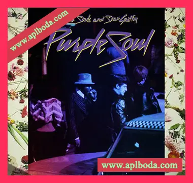 [灵魂RnB采样]Divided Souls Purple Soul [WAV]（4Mb）