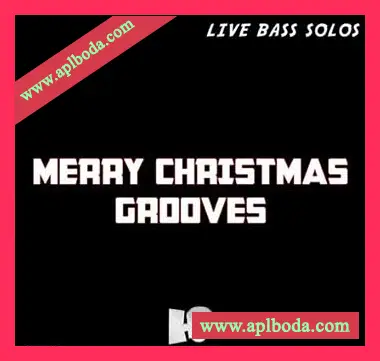 [圣诞快乐现场贝斯独奏采样]HOOKSHOW Merry Christmas Grooves Live Bass Solos [WAV]（100Mb）