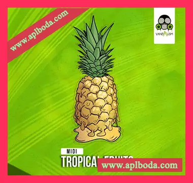 [MiDi素材热带舞曲]Vandalism Tropical Fruits（3Mb）