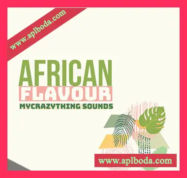 [民族部落打击采样]Mycrazything Records Afro Flavour [WAV]（196Mb）