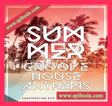 [电子舞曲浩室素材Sylenth1预置Serum预置Spire预置]Mainroom Warehouse Summer Groove House Anthems [多格式]（1.04Gb）