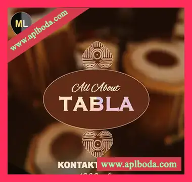 [印度手鼓塔布拉Tabla音源]Mango Loops All About Tabla [KONTAKT]（470Mb）