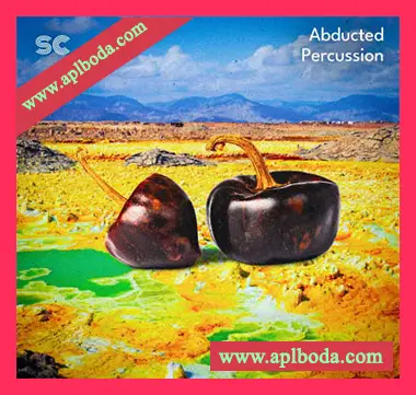 [拉丁打击乐采样]Sonic Collective Abducted Percussion [WAV]（345Mb）