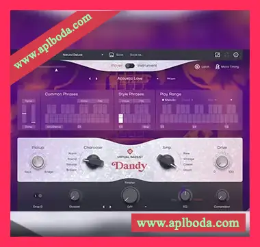 [虚拟贝斯手音源插件]UJAM Virtual Bassist DANDY v2.4.0 [WiN]（6.14Gb）