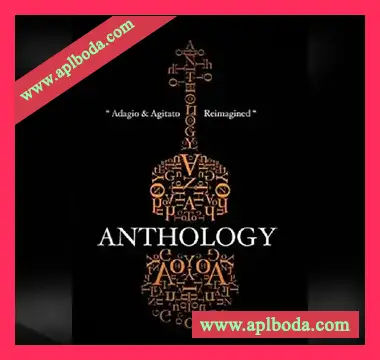 [影视弦乐音源]8Dio Anthology Strings Instrument [KONTAKT]（41.76Gb）