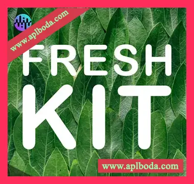 [流行电子舞曲拍手浑厚底鼓采样]Noiiz Fresh Kit [多格式]（36.13Mb）