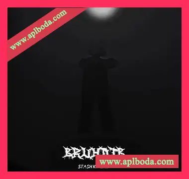 [嘻哈陷阱素材]Bruhotb 2K24 Stash Kit [WAV, MiDi]（192Mb）