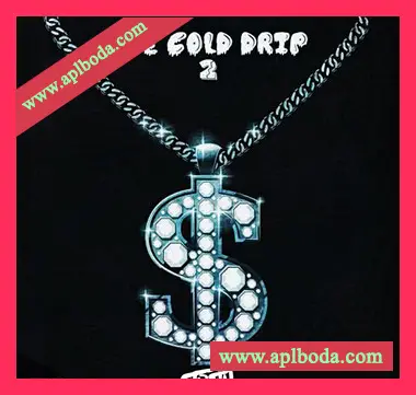 [嘻哈说唱采样]DJ 1Truth Ice Cold Drip 2 [WAV]（43Mb）