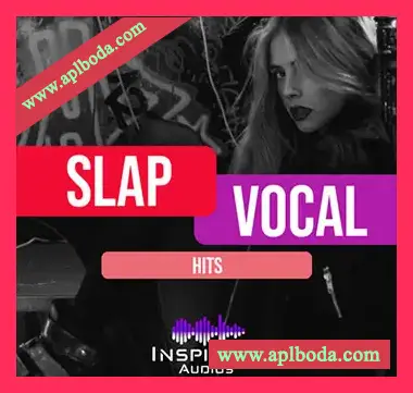[浩室人声采样]Inspiring Audios Slap Vocal Hits [WAV]（27Mb）