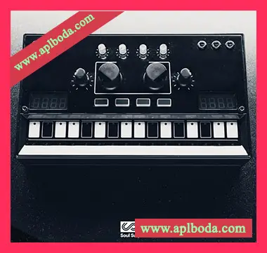 [陷阱RnB采样]Soul Surplus Black Box [WAV]（376Mb）