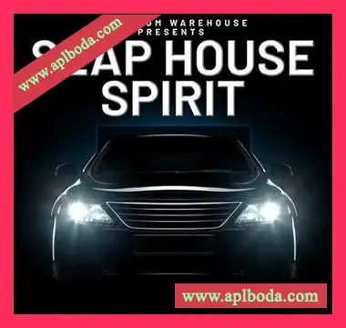 [SlapHouse素材Serum预置]Mainroom Warehouse Slap House Spirit [WAV, MiDi]（879Mb）