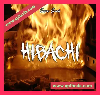 [嘻哈陷阱RnB采样]Smemo Sounds Hibachi [WAV]（71Mb）