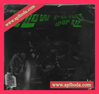 [Retro怀旧乐采样]NFE Paris Hollow Point Loop Kit [WAV]（106Mb）