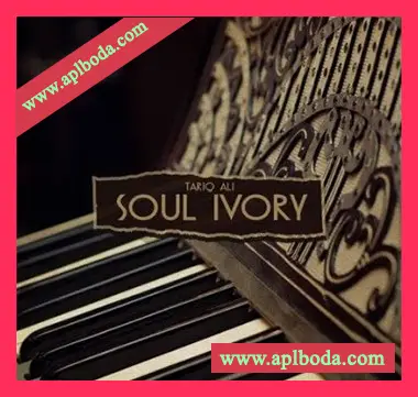 [爵士RnB采样]Tariq Ali Soul Ivory [WAV]（181Mb）