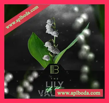 [Analog Lab预置嘻哈陷阱RnB流行电子舞曲]Brandon Chapa Lily Of The Valley (Analog Lab Bank)（6Mb）