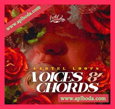 [灵魂RnB嘻哈人声和弦采样]Cartel Loops Voices And Chords [WAV]（190Mb）