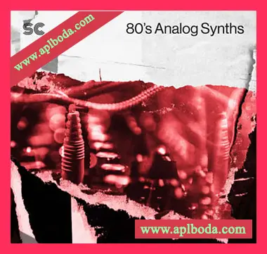 [怀旧电子采样]Sonic Collective 80s Analog Synths [WAV]（1.01Gb）