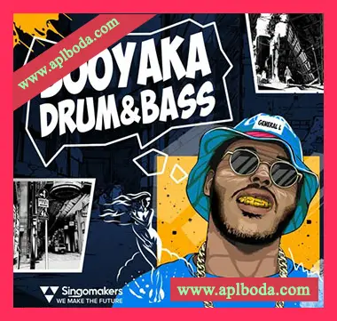 [鼓打贝斯素材]Singomakers Booyaka Drum and Bass [WAV, REX]（983Mb）