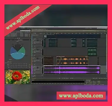 Adobe Audition CC 2020 v13.0.13.46 2020 v13.0.12 [WiN, MacOSX]（1.14Gb）