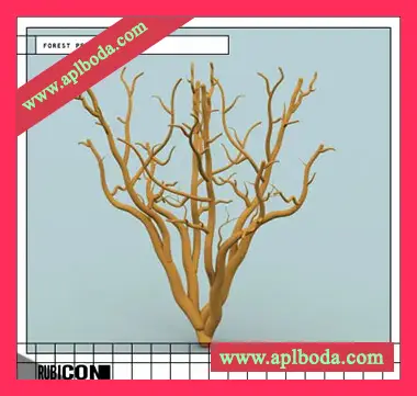 [氛围电子打击乐采样]Rubicon Forest Percussion [WAV]（428Mb）