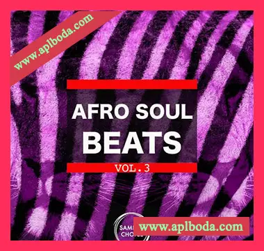 [非洲节奏采样]Samples Choice Afro Soul Beats Vol 3 [WAV]（416Mb）