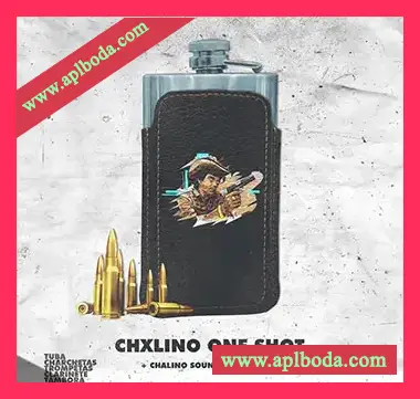 [拉丁采样音源]MuchoHumo Beats Chxlino One Shot（155Mb）
