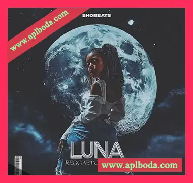 [拉丁雷击顿素材]Shobeats Luna Reggaeton Nights [WAV, MiDi]（159.78Mb）