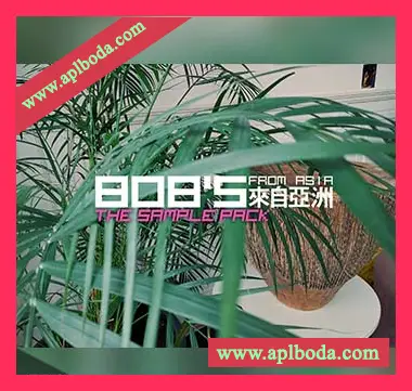 [氛围嘻哈陷阱鼓组打击采样]DELAY 808’s from Asia The Sample Pack [WAV]（923Mb）