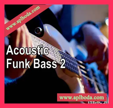 [放克贝斯采样]AudioFriend Acoustic Funk Bass 2 [WAV]（60Mb）