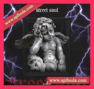 [灵魂RnB素材]Blvckout Street Soul [WAV, MiDi]（224Mb）