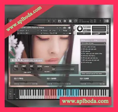 [日本民族人声音源]Bela D Media Native Voice Sora [KONTAKT]（77Mb）