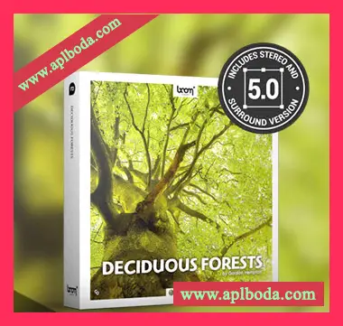 [季节森林氛围FX音效]Boom Library Deciduous Forests STEREO and SURROUND [WAV]（19.76Gb）