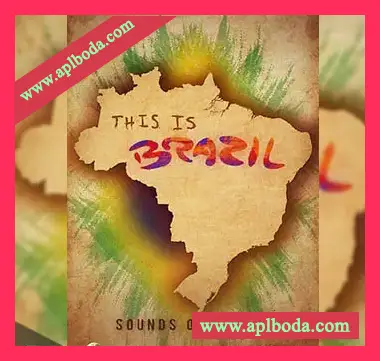 [巴西现代乐素材]Big Fish Audio This Is Brazil [多格式]（8.1Gb）