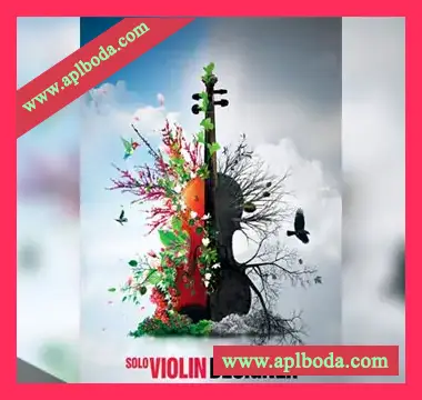 [独奏小提琴音源]8Dio Solo Violin Designer 2.0 [KONTAKT]（2.87Gb）