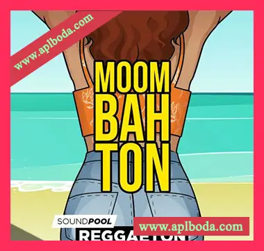 [拉丁雷击顿穆巴松采样]MAGIX Moombahton Part 1 [WAV]（634Mb）