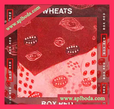 [简约深邃浩室采样]Toolroom Box Red Artist Series Volume 1 Wheats [WAV]（88Mb）